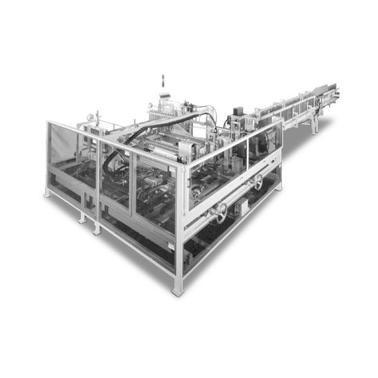 RAM450 Wrap Around Case Packer 